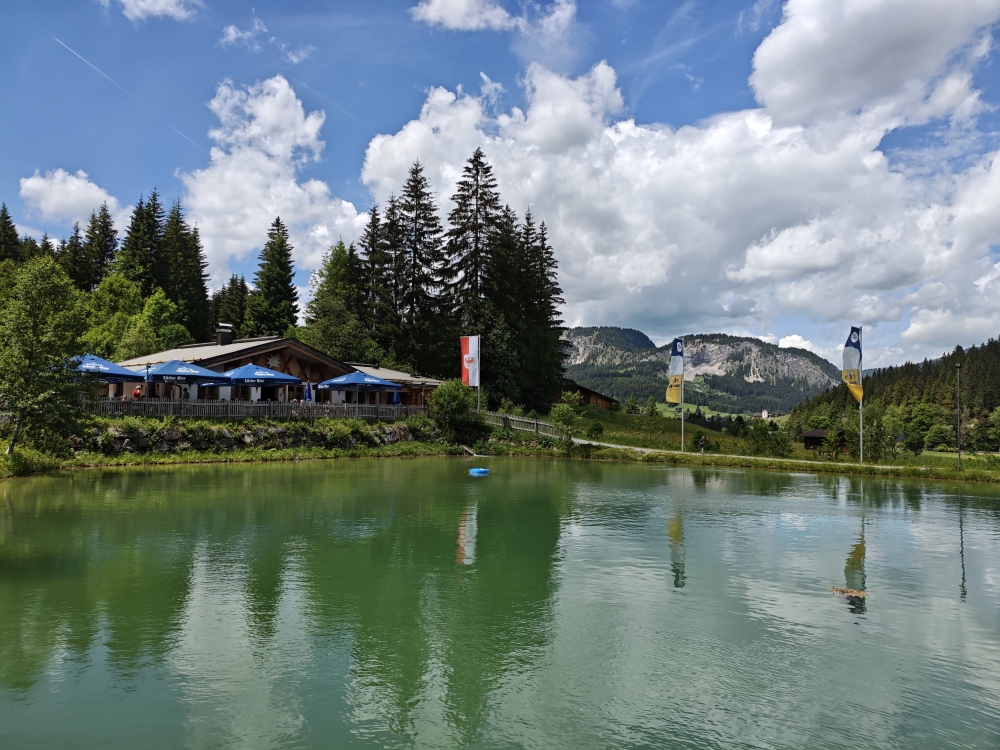 Wanderung Litnisschrofen: Wanderung Litnisschrofen: Tauscher's Alm  (Tauscher's Alm)