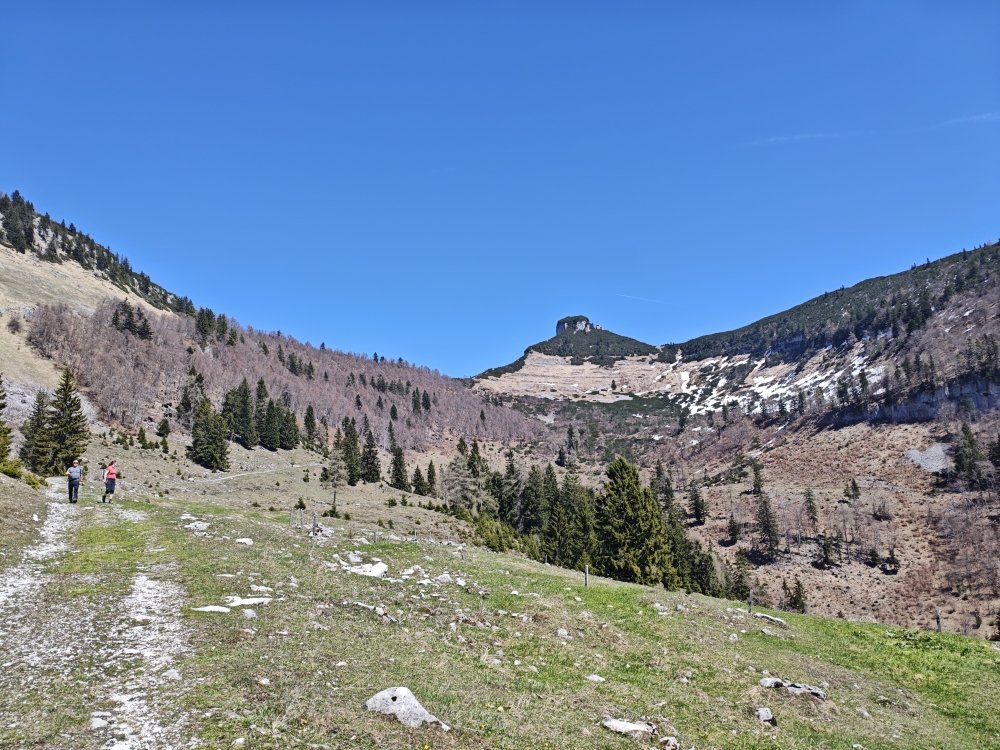 Wanderung Schmittenstein: Wanderung Schmittenstein: Blick zum Schmittenstein (Tenneralm)