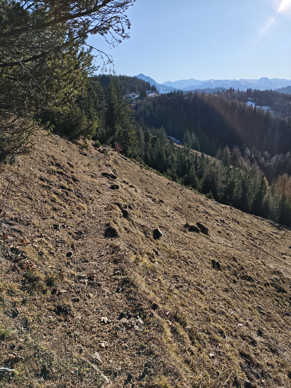 Wanderung Teufelskanzel: Querung unter dem Kohlenberg