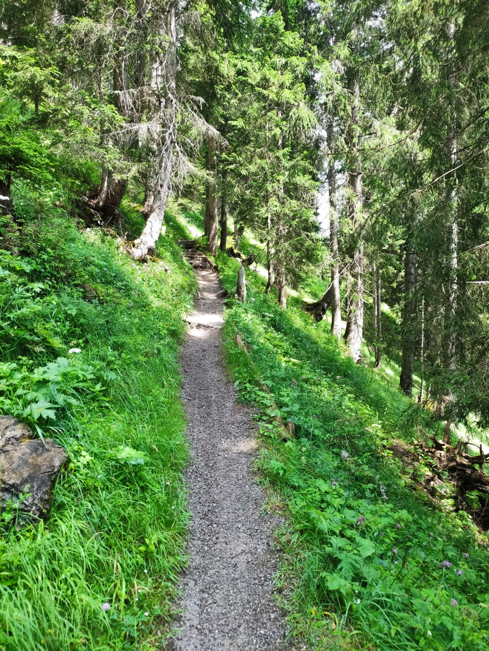 Wanderung Thaneller: Querung zur Hochalm
