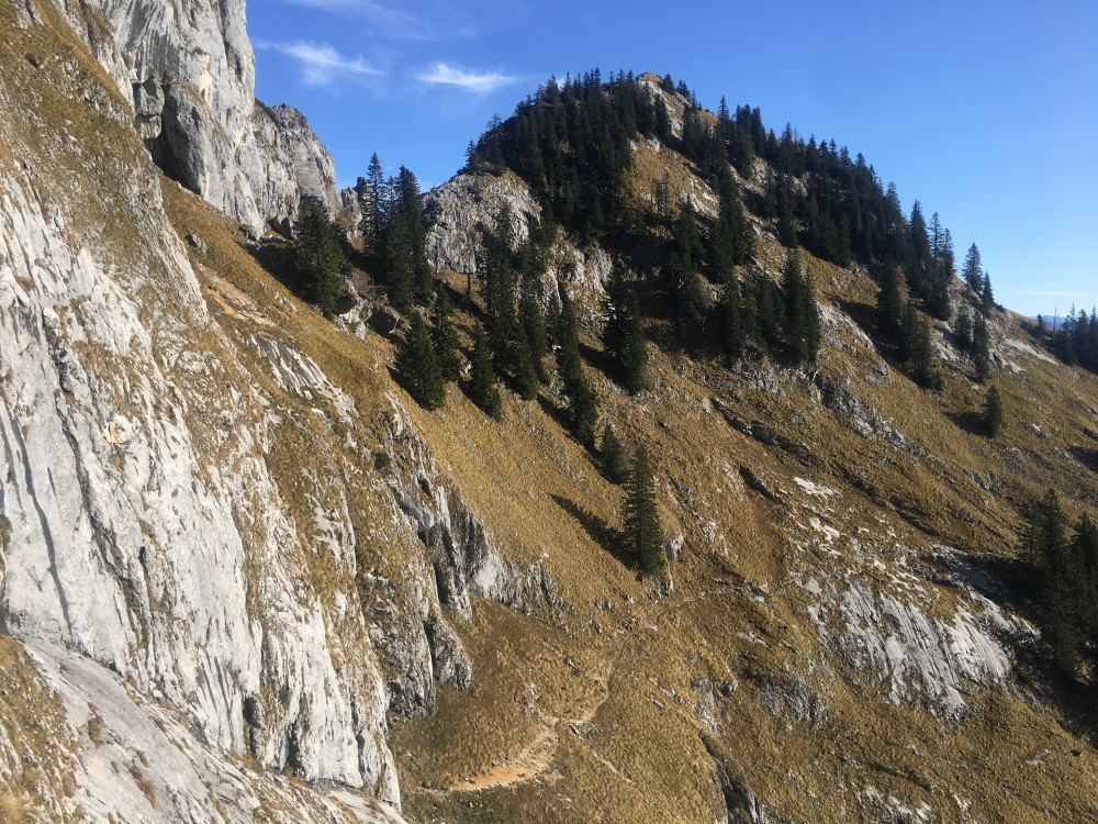 Törlspitz: Blick auf die Törlspitz vom Purtschellersteig