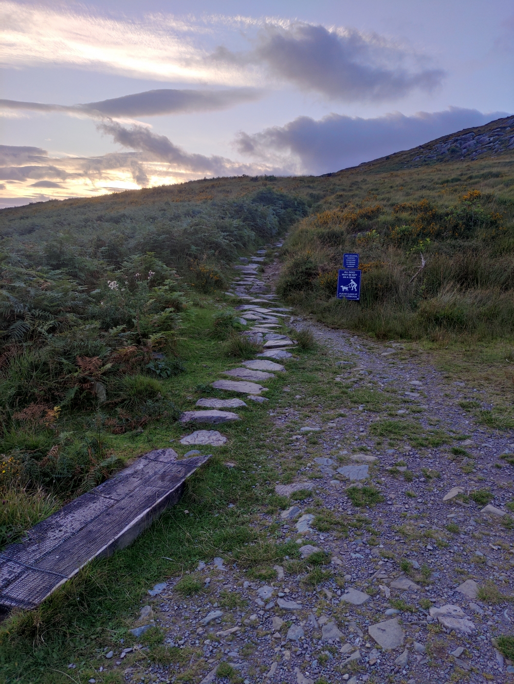 Wanderung Torc Mountain: Abzweig