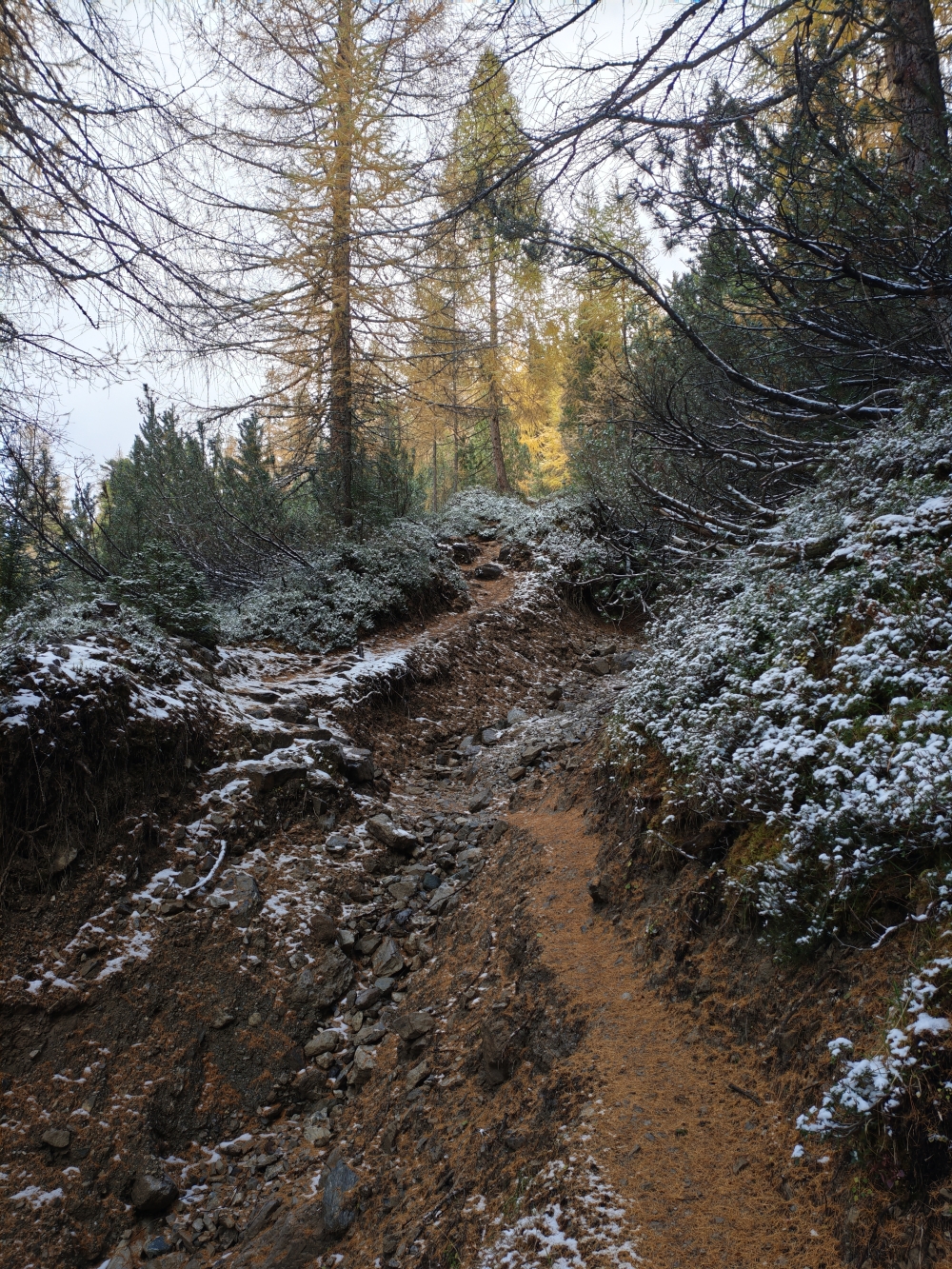Wanderung Tschirgant: Abstieg
