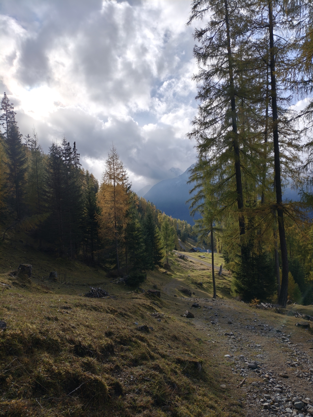 Wanderung Tschirgant: Oberhalb der Alm
