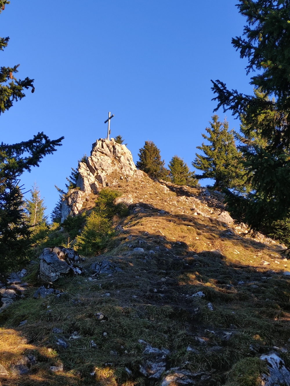 Gipfel (Türkenköpfl)