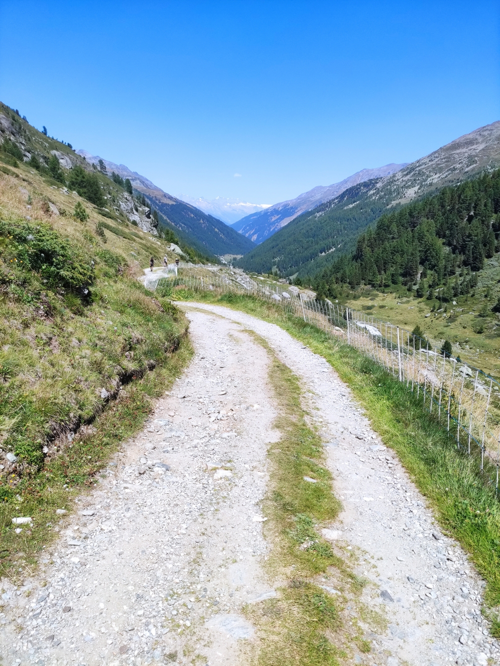 Wanderung Barrhorn: Fahrstraße 