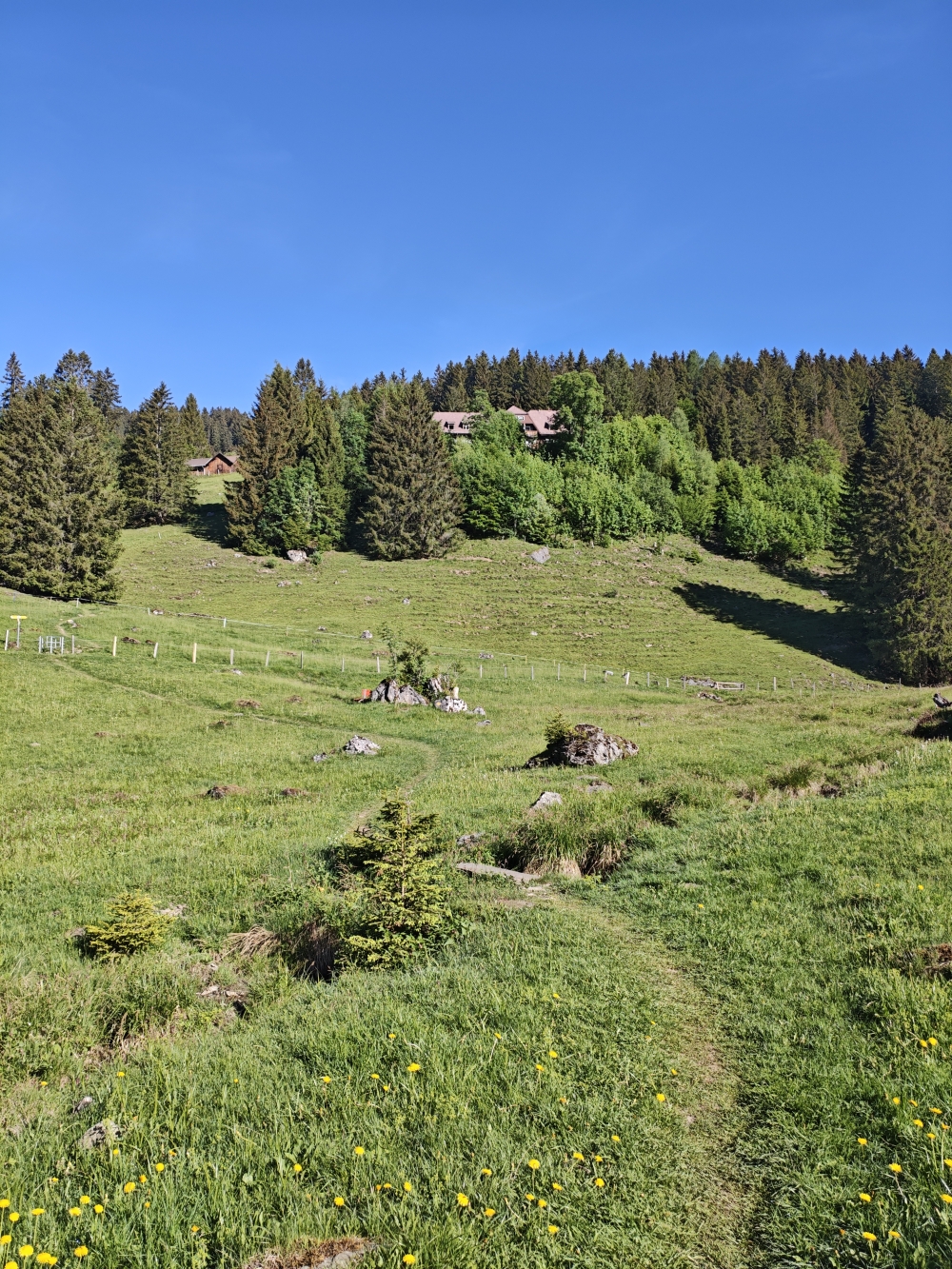 Wanderung Voralpsee: Wiesenweg