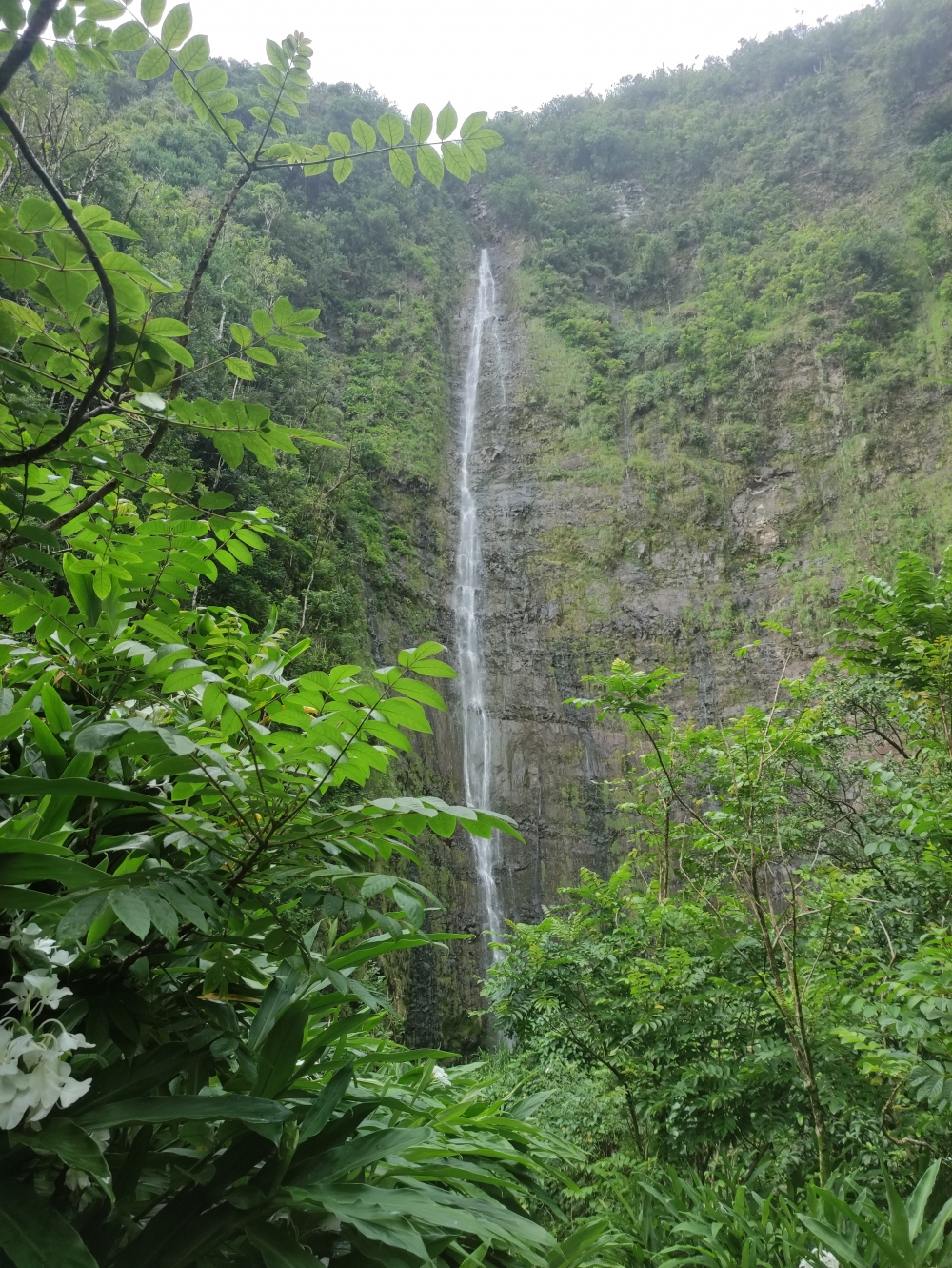Waimoku Falls: Leider kommt man nicht näher an den Wasserfall heran