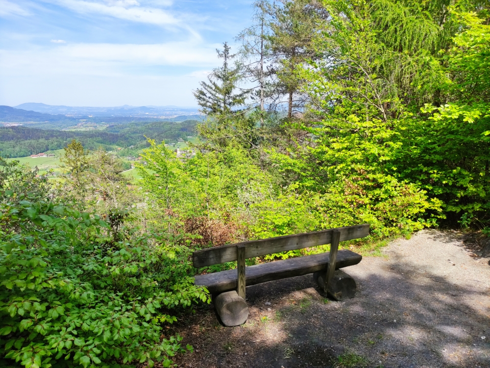 Wappbachkopf -> Dötzenkopf: Aussichtsbank am Wappbachkopf