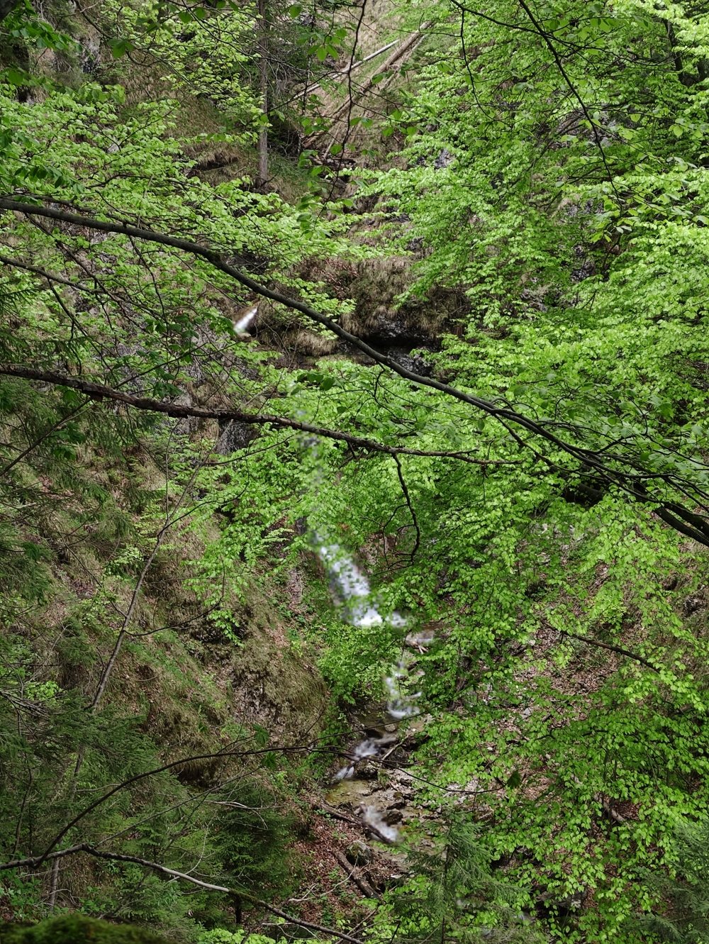Etwas versteckt (Wasserfall Ankelbach)