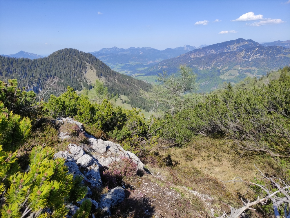 Wanderung Feldberg: Wanderung Feldberg: Auf dem Wasserlahnerkopf