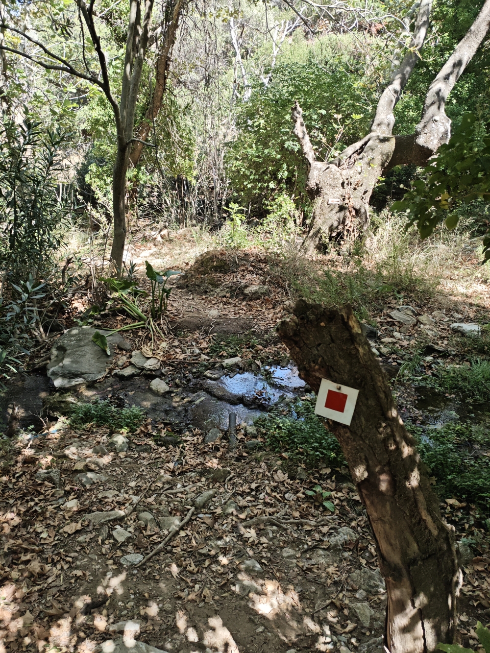 Wanderung Wassermühle der Mönche: Markierung 