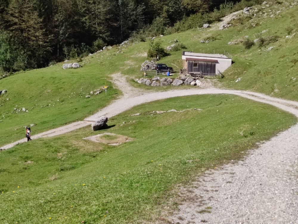 Wanderung Riedlhütte: Wanderung Riedlhütte: Wegscheid-Niederalm