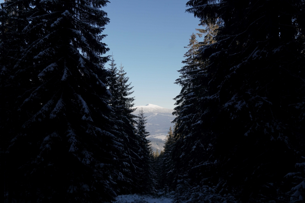 Weiberberg: Babia Gora
