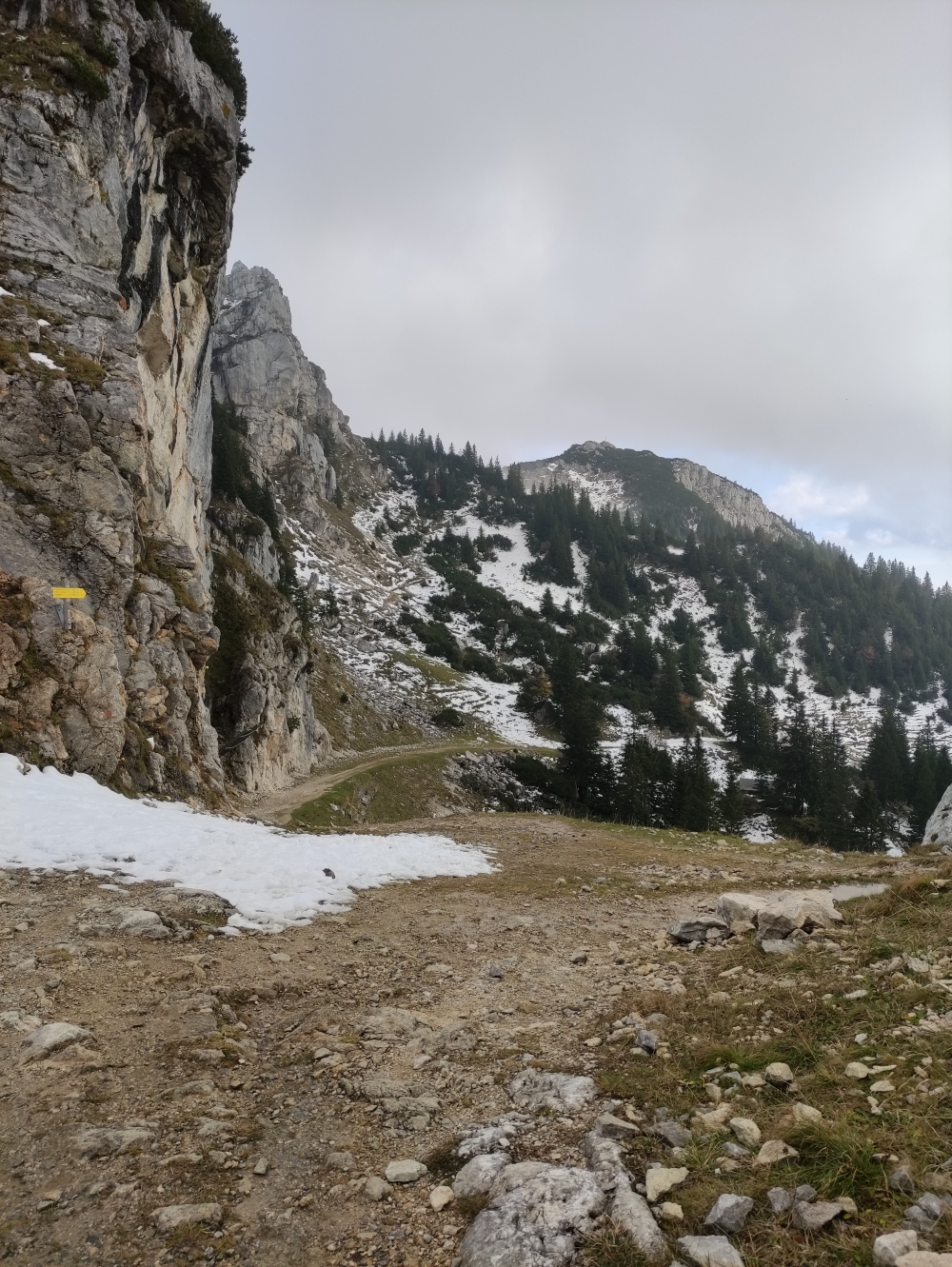 Sieglhütte -> Zeller Scharte: Blick von der Zeller Scharte zur Lacherspitz