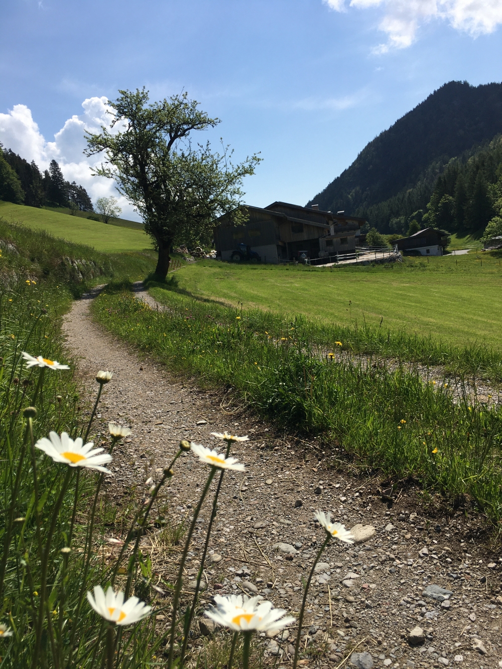 Wanderung Zettenkaiserkopf: Kurz vor dem Hagenhof