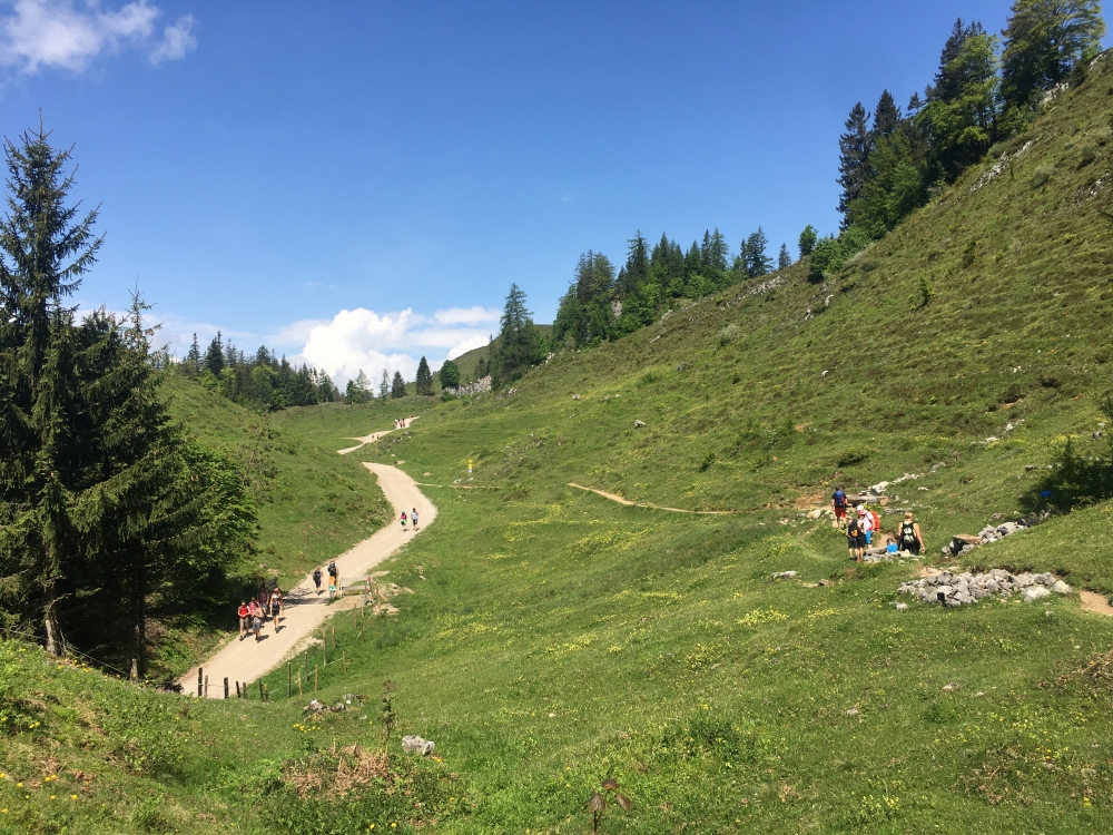Wanderung Zettenkaiserkopf: Breite Forststraße und kleiner Steig führen beide zum Ziel