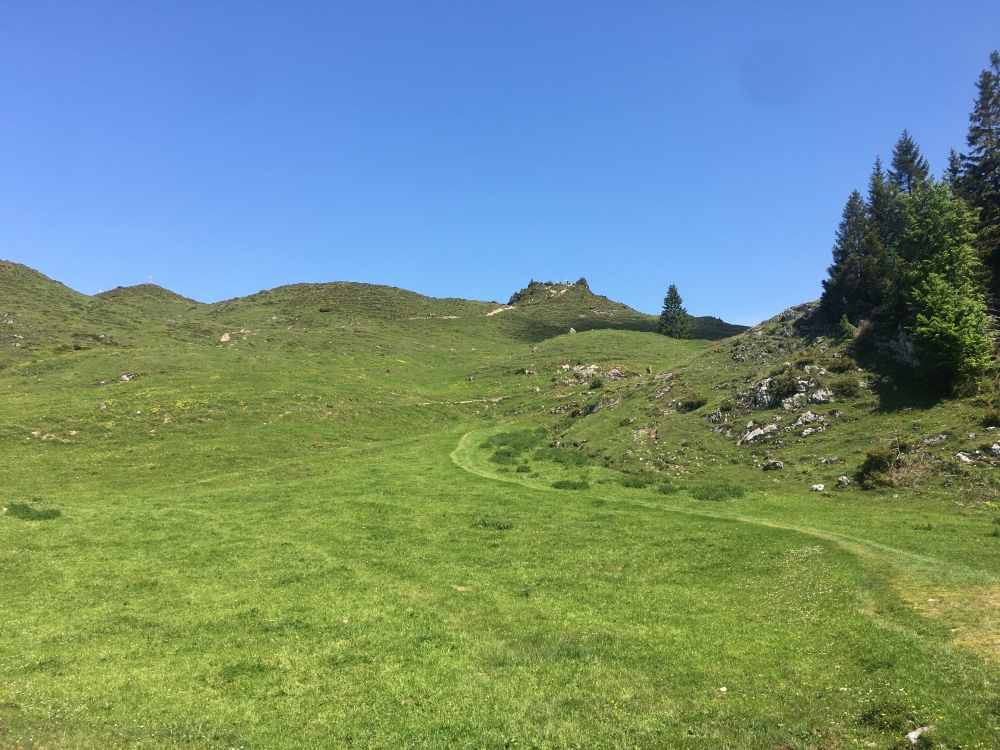 Wanderung Zettenkaiserkopf: Blick zum Gipfelkreuz Kreuzbichl