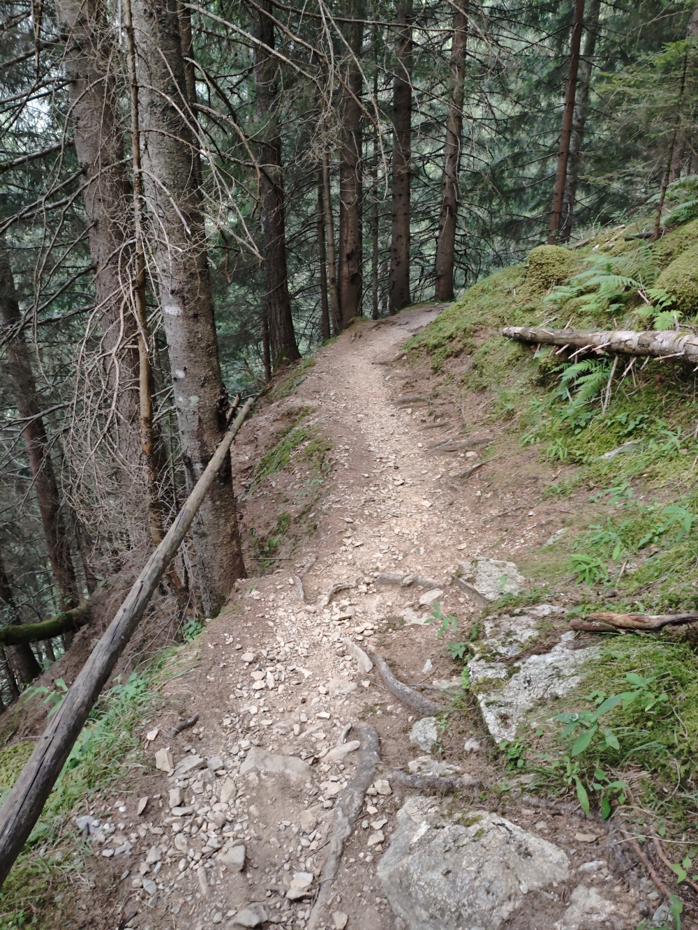 Wanderung Zinkwand: Abstieg 