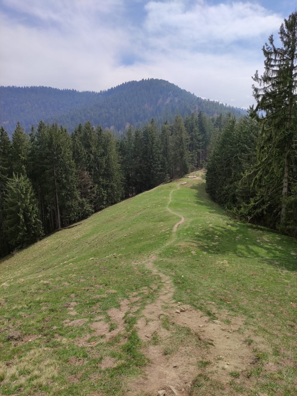 Stallauer Eck -> Stallauer Kopf: Sonnige Wiesenpfade