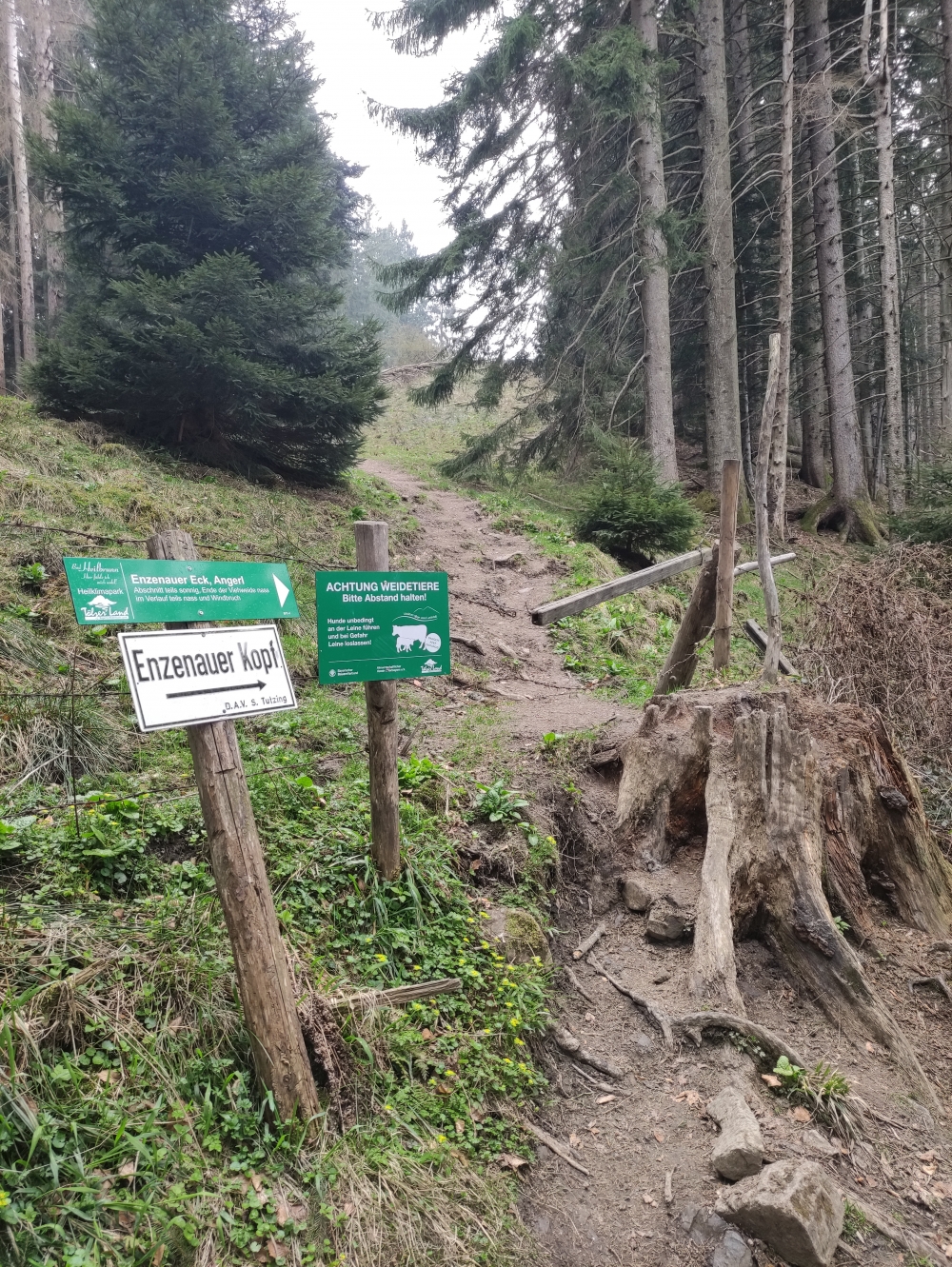 Parkplatz Rathaus -> Enzenauer Kopf: Über den Zaun 